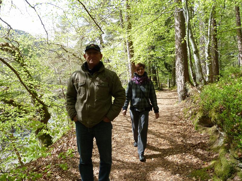 Op weg naar de Invermoriston Falls 147a.JPG - Een prachtige wandeling brengt je naar de watervallen.